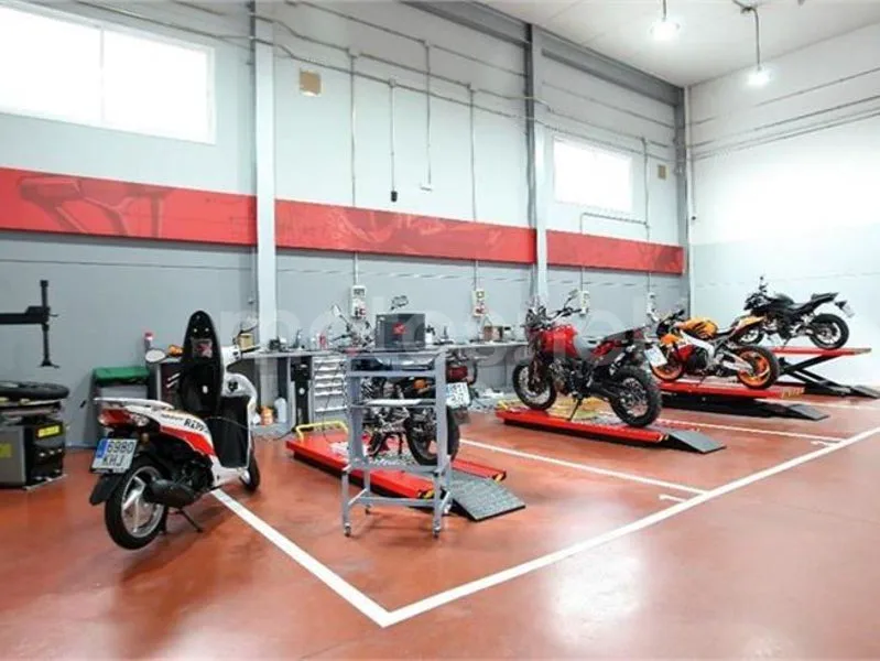 Honda Monkey 125 - Vista 18