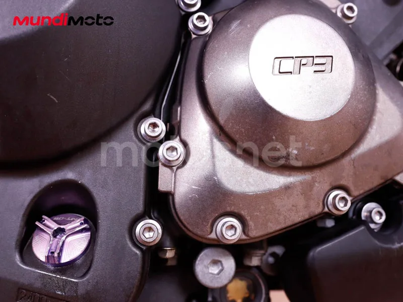 Yamaha MT-09 - Vista 27