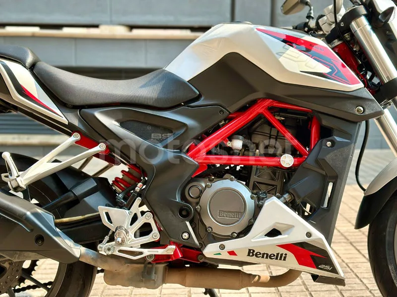 Benelli BN 251 - Vista 12