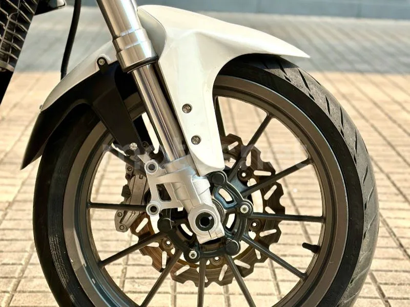 Benelli BN 251 - Vista 15