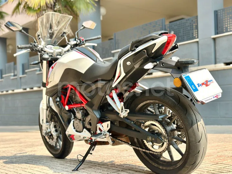 Benelli BN 251 - Vista 3