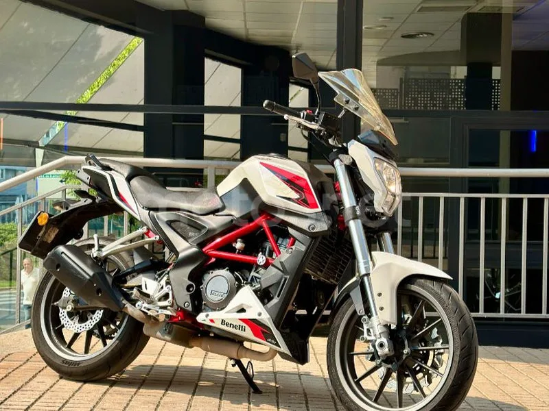 Benelli BN 251 - Vista 28