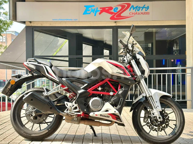 Benelli BN 251 - Vista 4