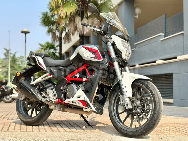 Benelli BN 251 - Vista 32