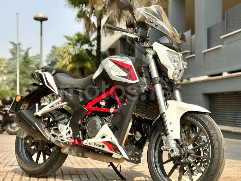 Benelli BN 251 - Vista 33