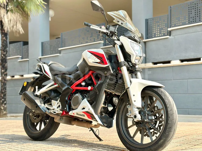 Benelli BN 251 - Vista 6