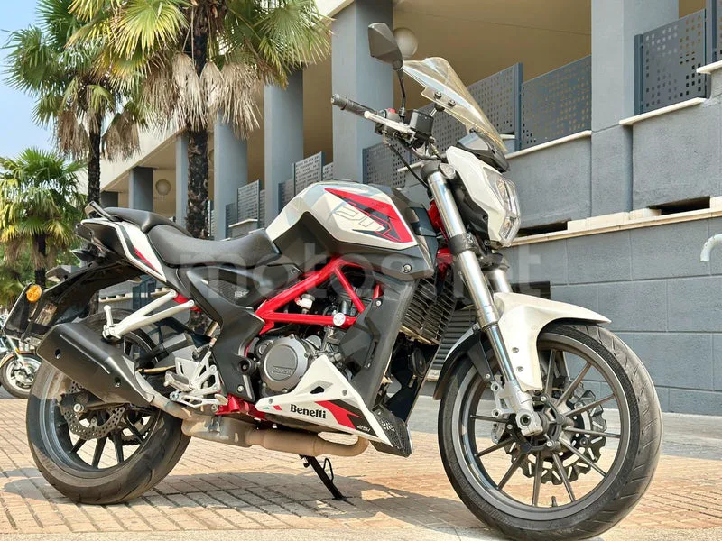 Benelli BN 251 - Vista 10