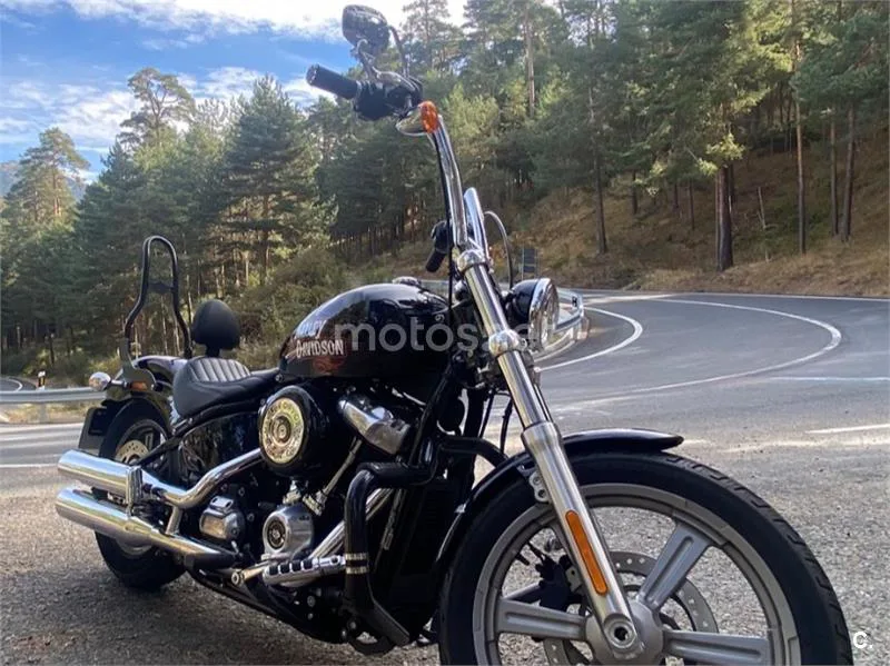 Harley-Davidson Softail Standard - Vista 3