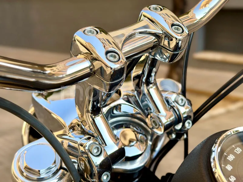 Harley-Davidson Dyna Low Rider - Vista 20