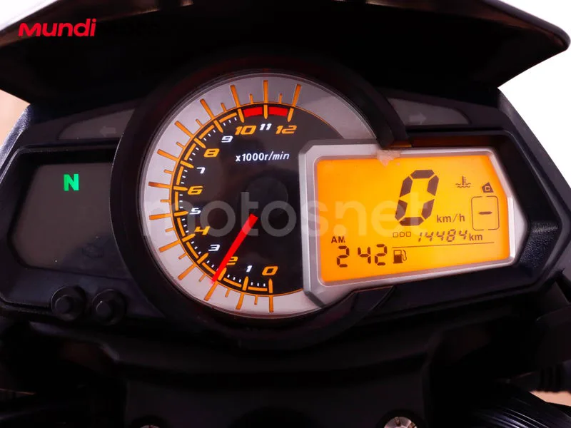 Benelli BN 251 - Vista 12