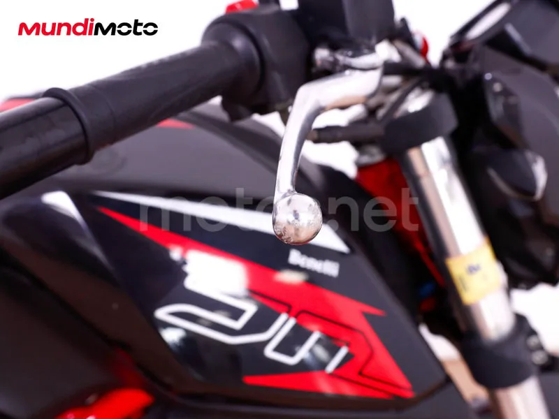 Benelli BN 251 - Vista 24