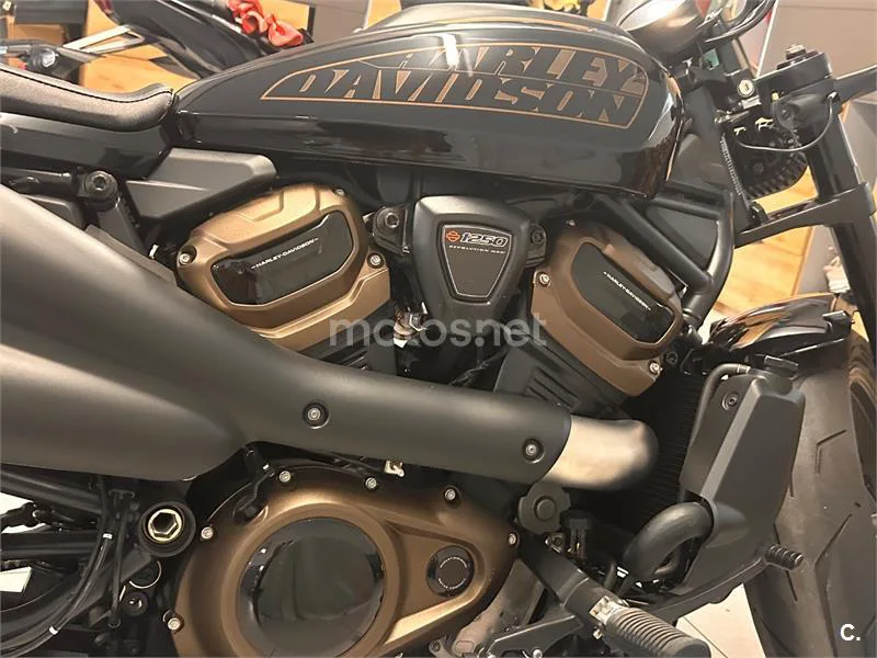 Harley-Davidson Sportster S - Vista 5
