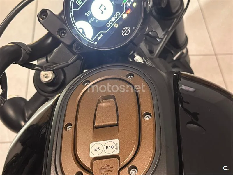 Harley-Davidson Sportster S - Vista 8