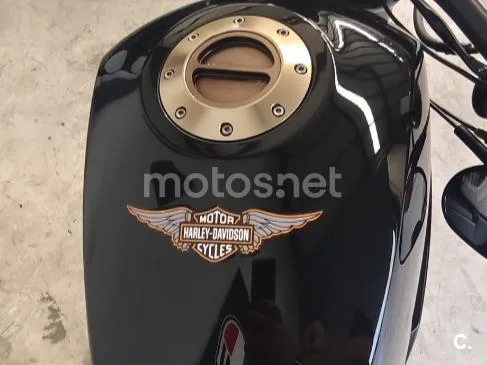 Harley-Davidson XR1200 - Vista 3