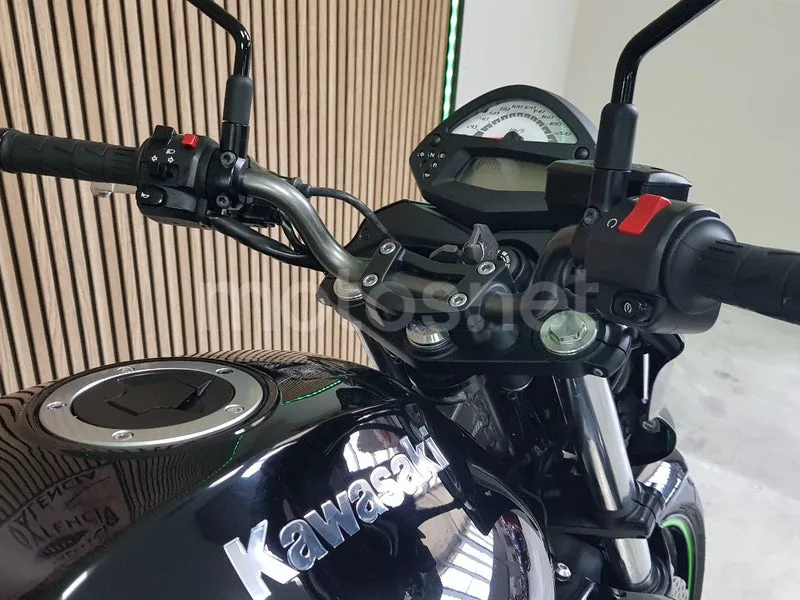 Kawasaki ER-6n - Vista 14
