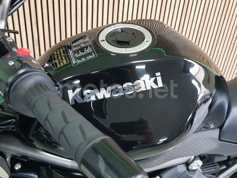 Kawasaki ER-6n - Vista 30