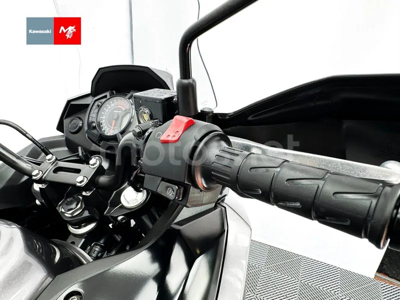 Kawasaki Versys-X 300 - Vista 11