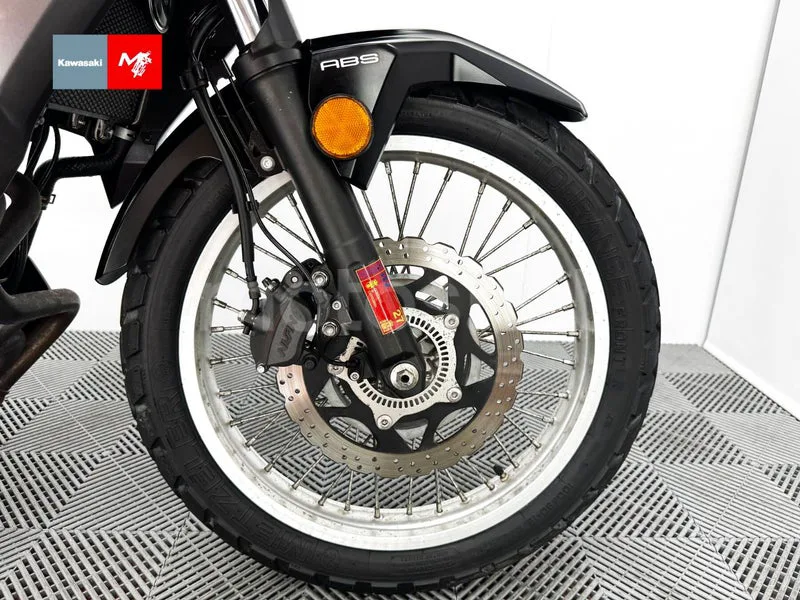 Kawasaki Versys-X 300 - Vista 12