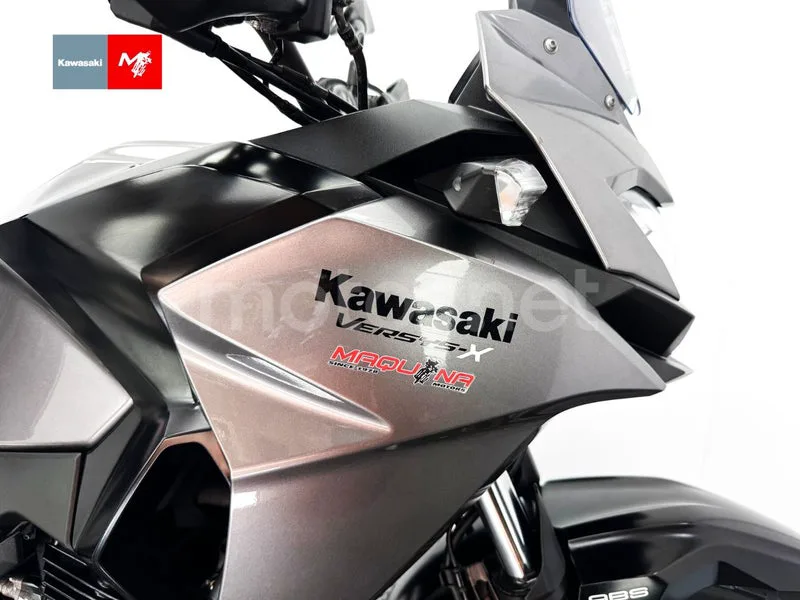 Kawasaki Versys-X 300 - Vista 17