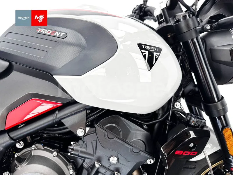 Triumph Trident 800 - Vista 14
