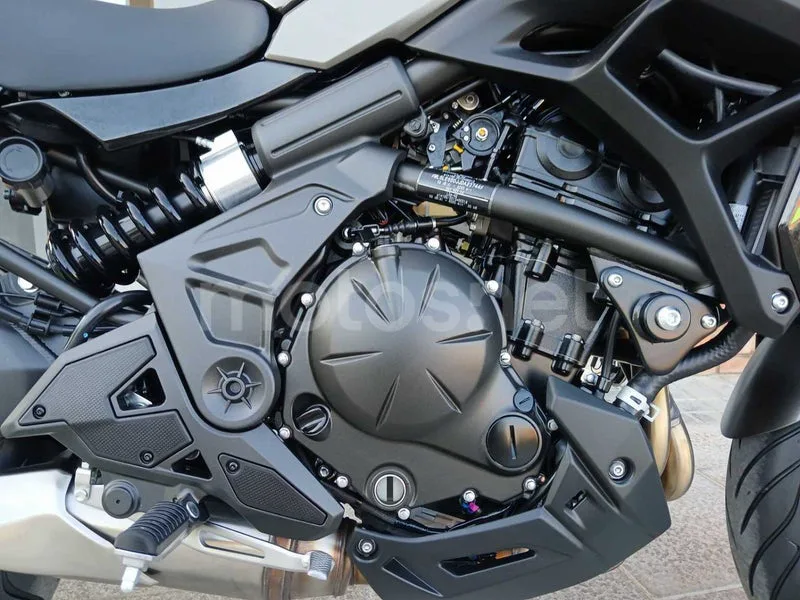 Kawasaki Versys 650 - Vista 10