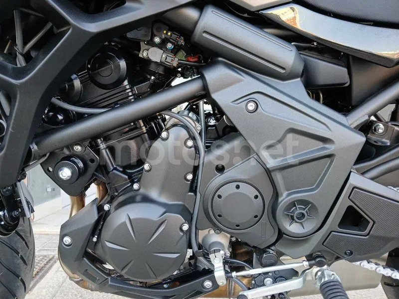 Kawasaki Versys 650 - Vista 15