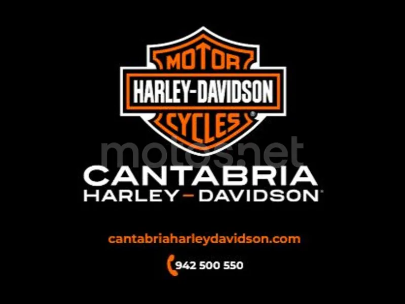 Harley-Davidson Road Glide - Vista 27