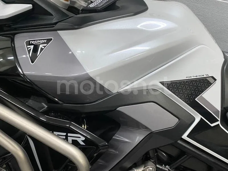Triumph Tiger 900 - Vista 12