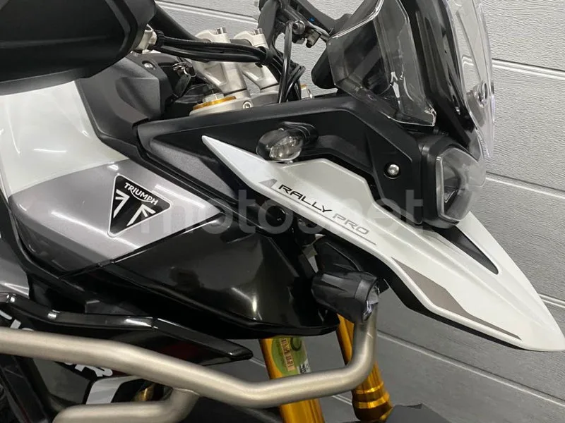 Triumph Tiger 900 - Vista 7