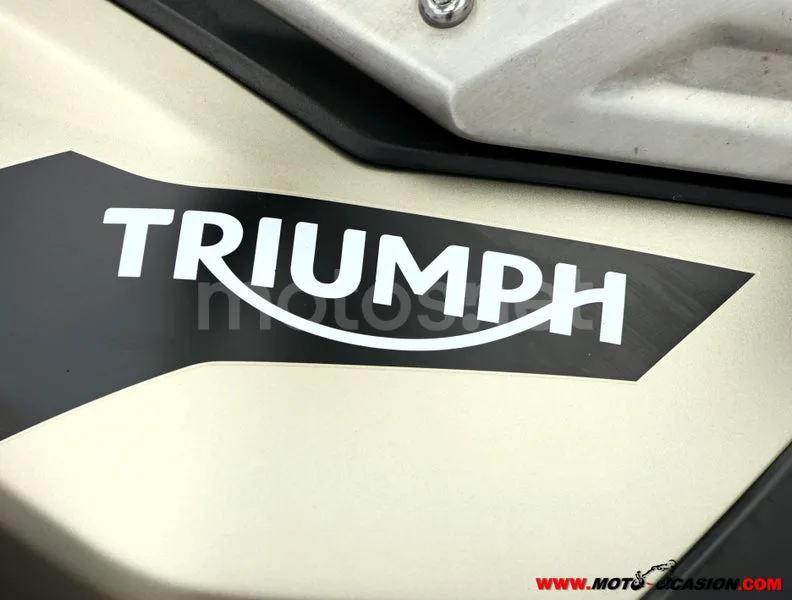 Triumph Tiger 900 - Vista 9