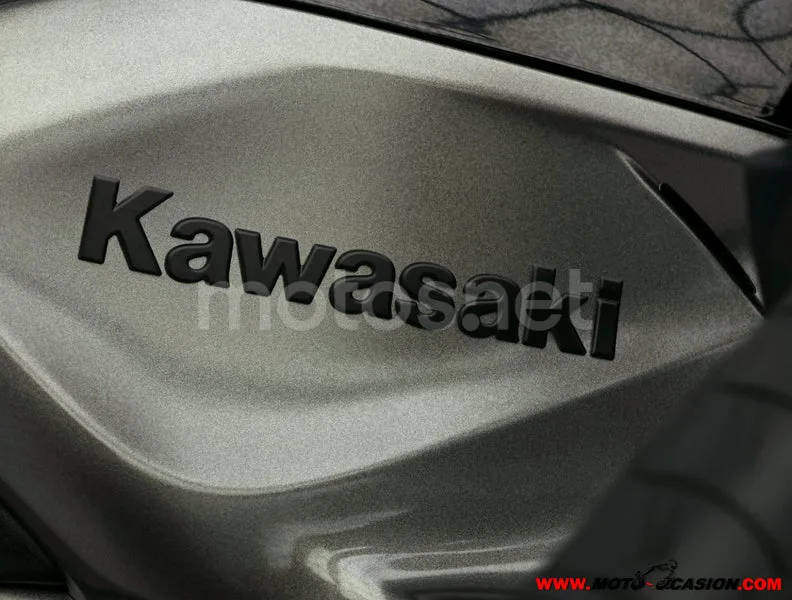 Kawasaki Z1100 - Vista 9