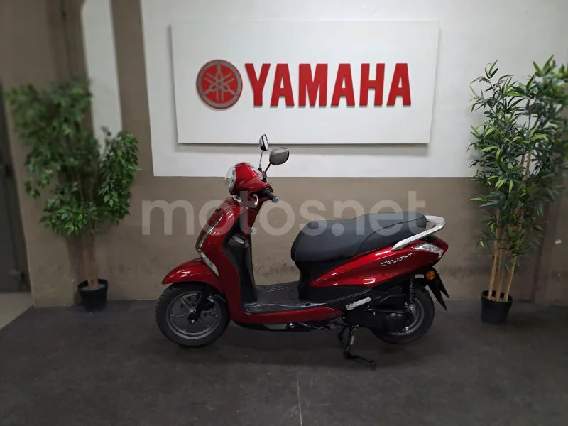 Yamaha D'elight - Vista 4