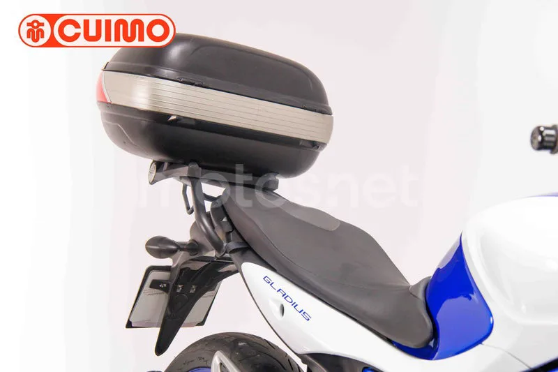 Suzuki Gladius 650 - Vista 12