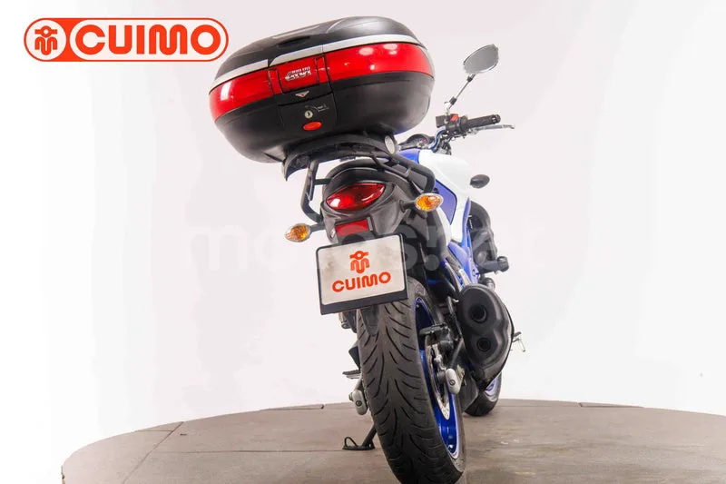 Suzuki Gladius 650 - Vista 5