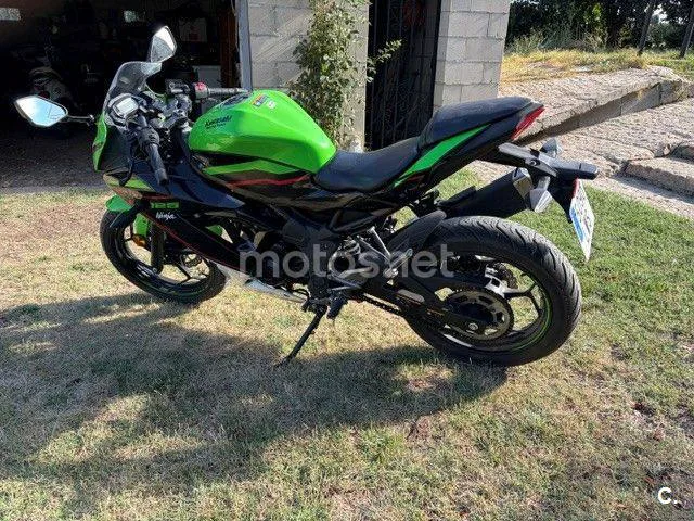 Kawasaki Ninja 125 - Vista 5