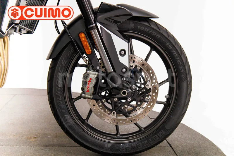 Triumph Tiger 900 - Vista 14