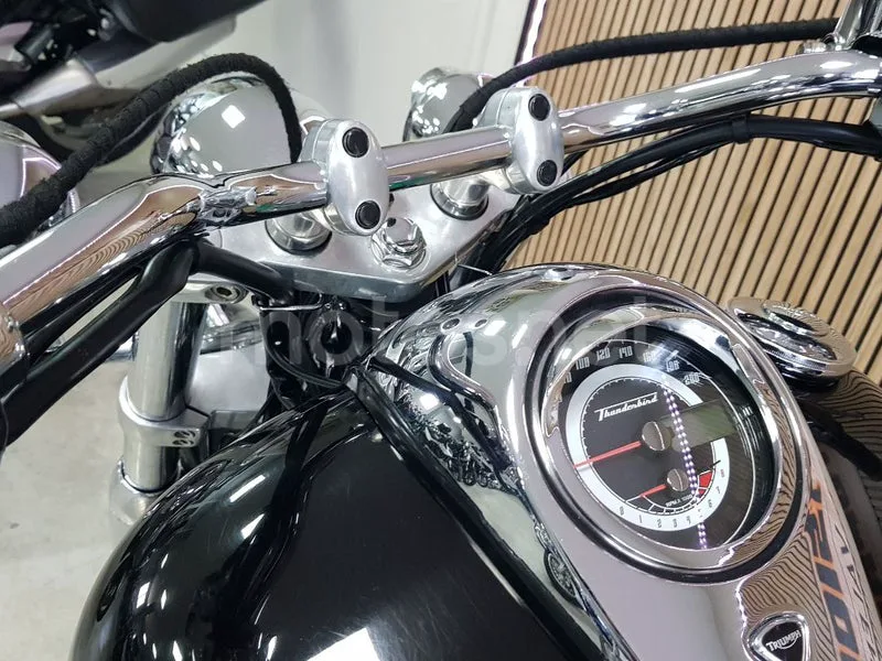 Triumph Thunderbird 1600 - Vista 47