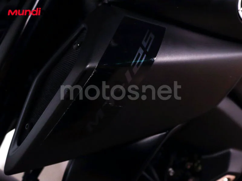 Yamaha MT-125 - Vista 17