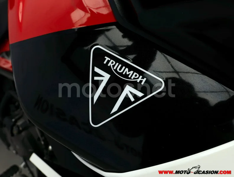 Triumph Tiger 900 - Vista 8