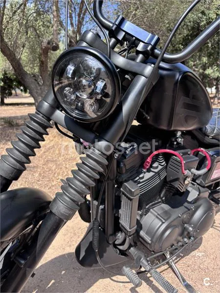 Harley-Davidson Sportster 1200 - Vista 6