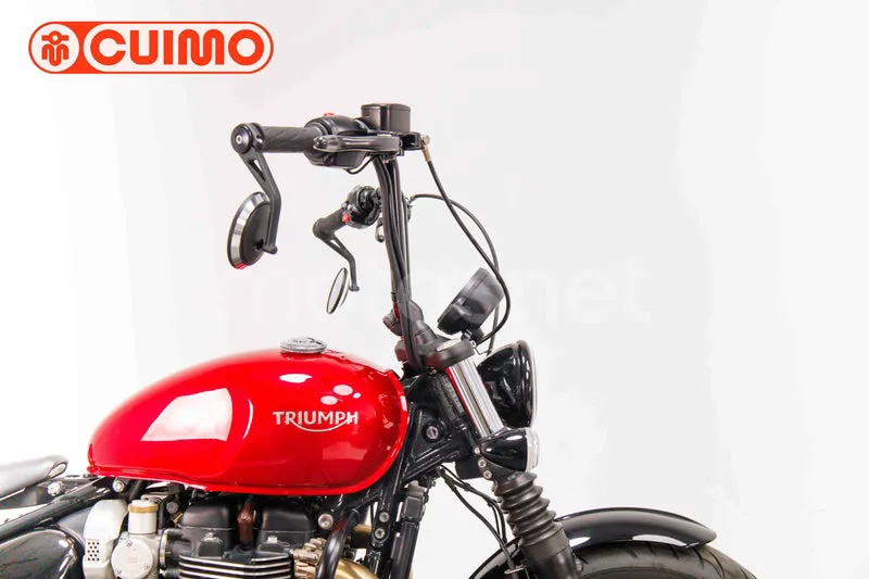 Triumph Bonneville Bobber - Vista 13