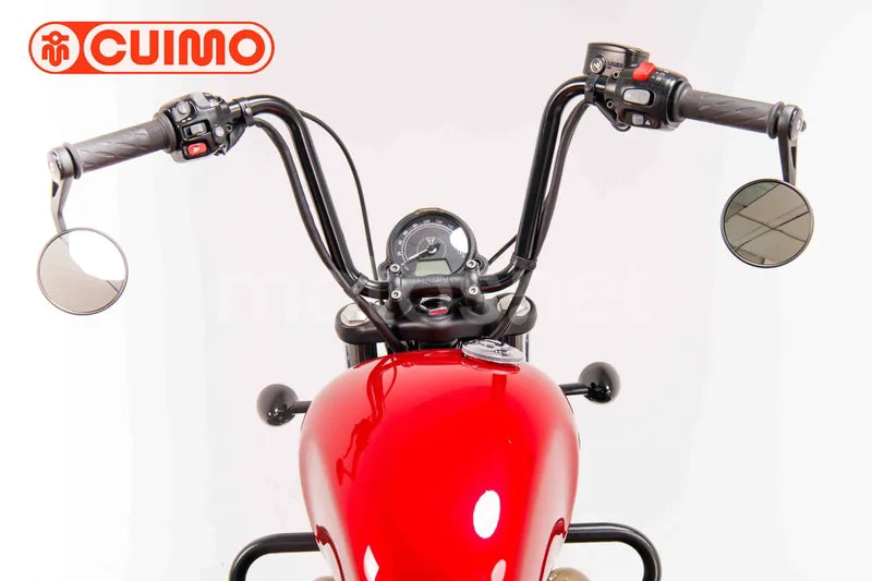 Triumph Bonneville Bobber - Vista 19