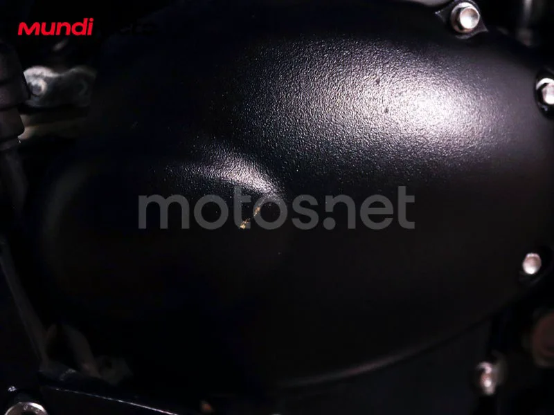 Triumph Bonneville T100 - Vista 32