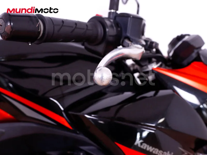 Kawasaki Z800 - Vista 15