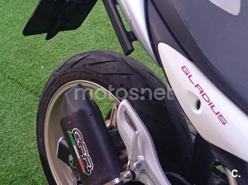 Suzuki Gladius 650 - Vista 6