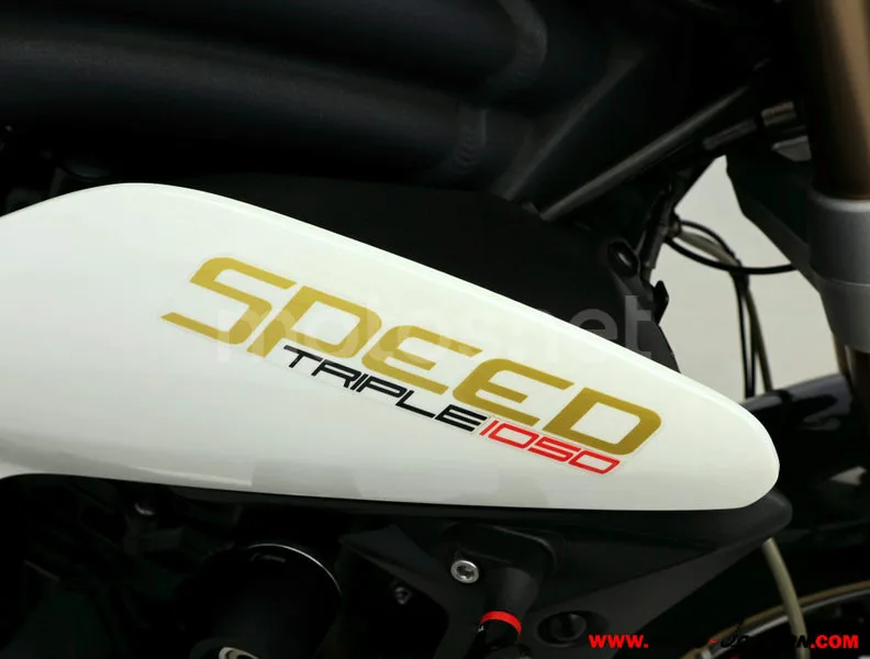 Triumph Speed Triple - Vista 9