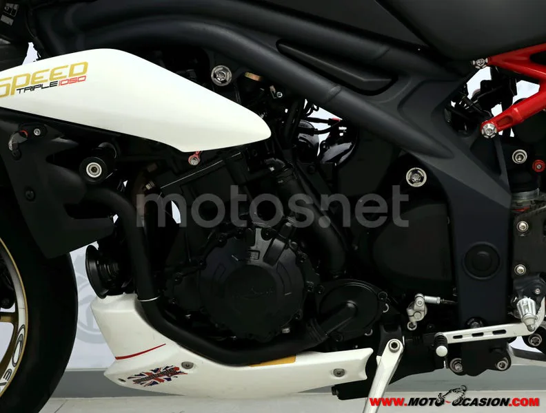 Triumph Speed Triple - Vista 10