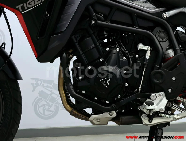 Triumph Tiger 900 - Vista 10