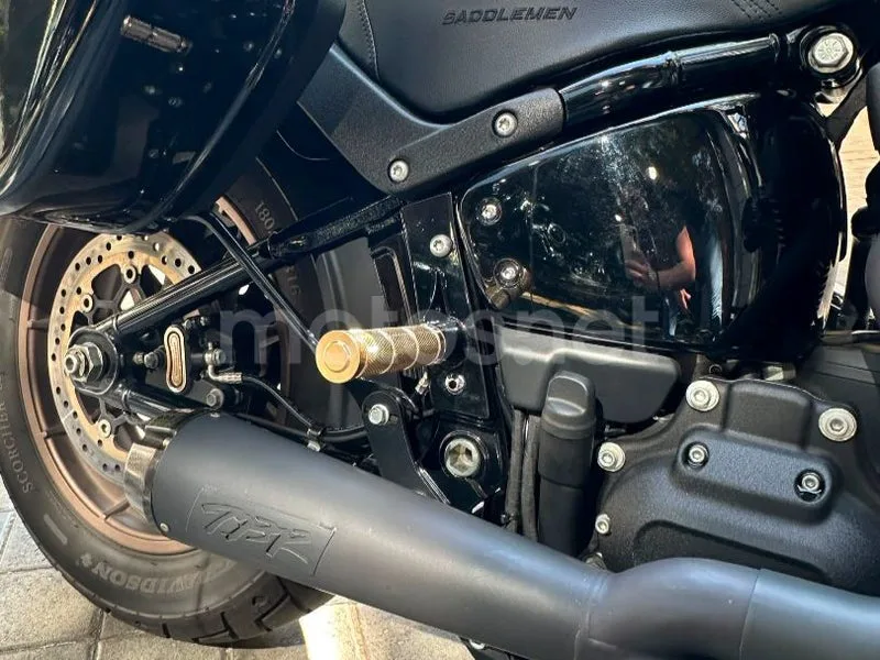 Harley-Davidson Low Rider ST - Vista 5