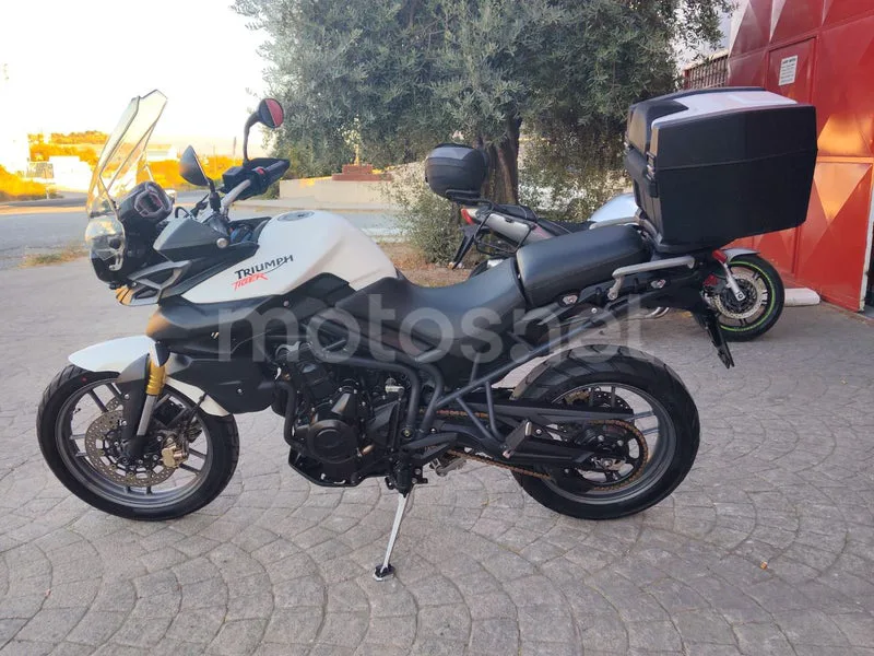 Triumph Tiger 800 - Vista 14